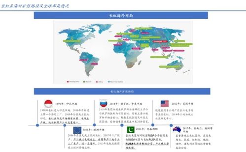 四川長虹半年報(bào) 揚(yáng)帆出海未來可期，營收逆市增長10.24%